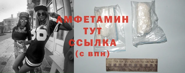 ГАЛЛЮЦИНОГЕННЫЕ ГРИБЫ Гусь-Хрустальный
