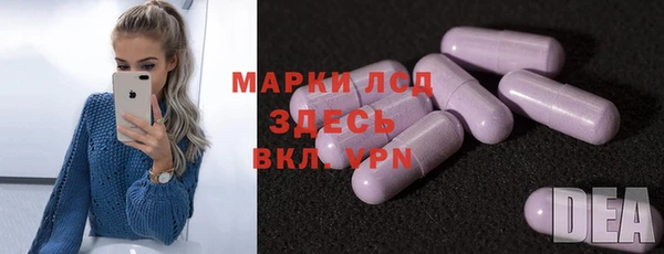 ГАЛЛЮЦИНОГЕННЫЕ ГРИБЫ Гусь-Хрустальный