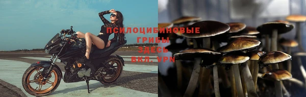 spice Гусиноозёрск