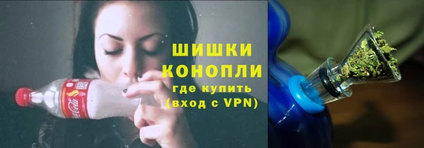ГАЛЛЮЦИНОГЕННЫЕ ГРИБЫ Гусь-Хрустальный