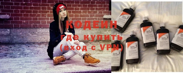 ГАЛЛЮЦИНОГЕННЫЕ ГРИБЫ Гусь-Хрустальный